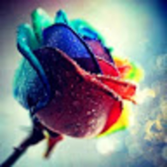 Meet your Posher, Kylah - Picture 1 of 1